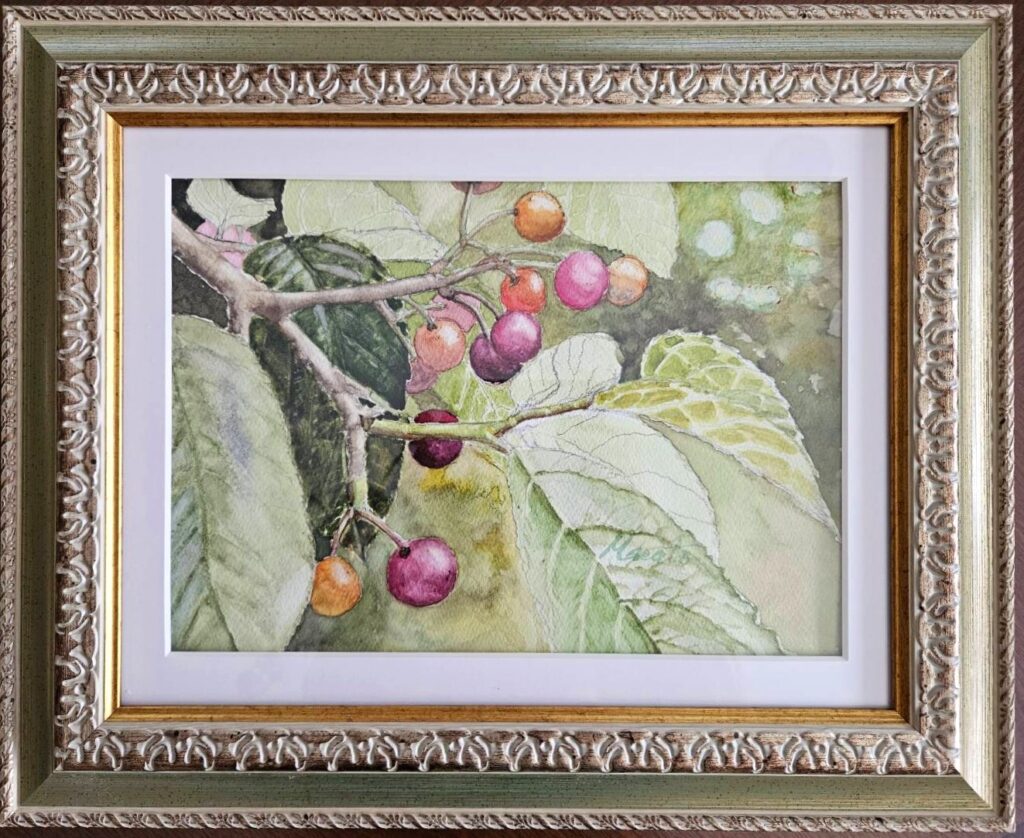 サクランボ　水彩画 F4　竹中眞人