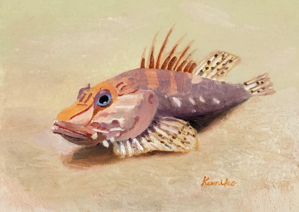 がしら　水彩画 F4　有田久実子　