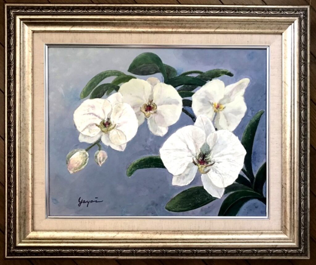 胡蝶蘭 F6 油彩   岡本弥生