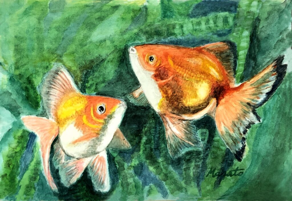 金魚	 F4 水彩　竹中眞人
